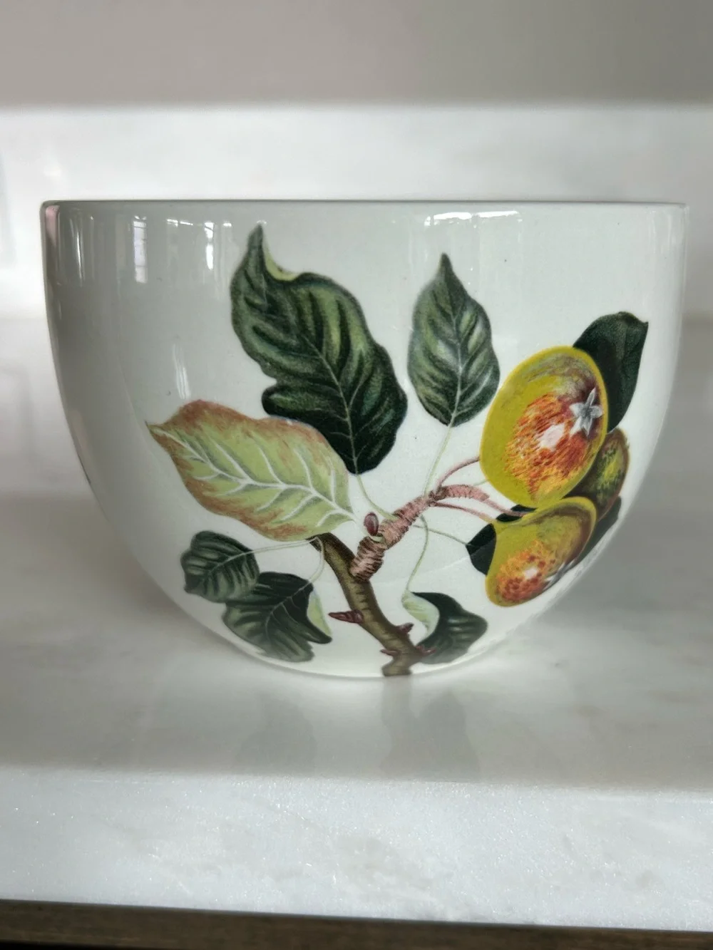 Portmeirion Pomona Trenton Squash Pear Goddess of Fruit Jumbo Tea Cup/Mug